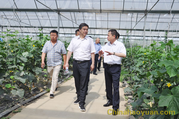 J9直营集团【中国区】官方网站